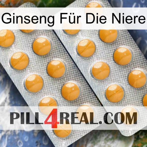Ginseng Für Die Niere levitra2